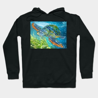 Sea Turtle Hoodie